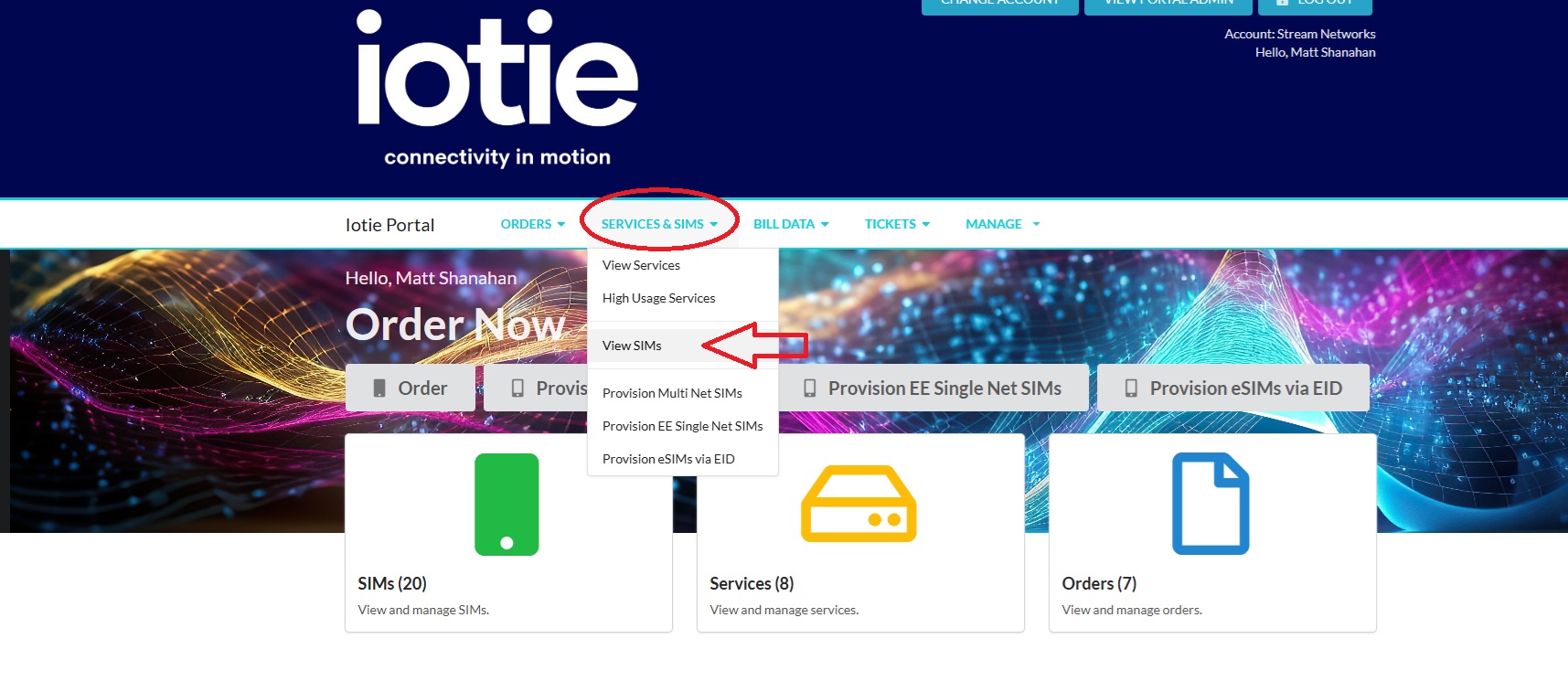 view auto suspended iot sims